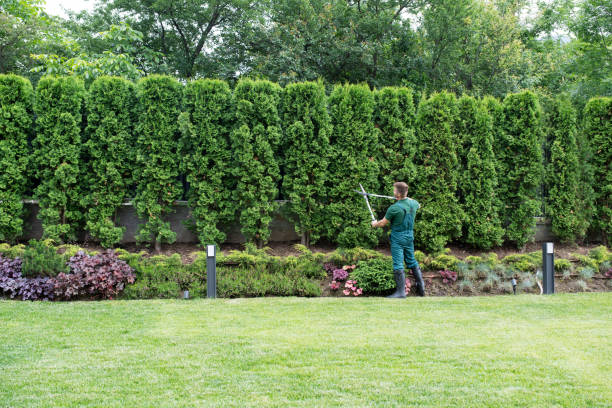 Best Lawn Maintenance Plans  in Mazomanie, WI